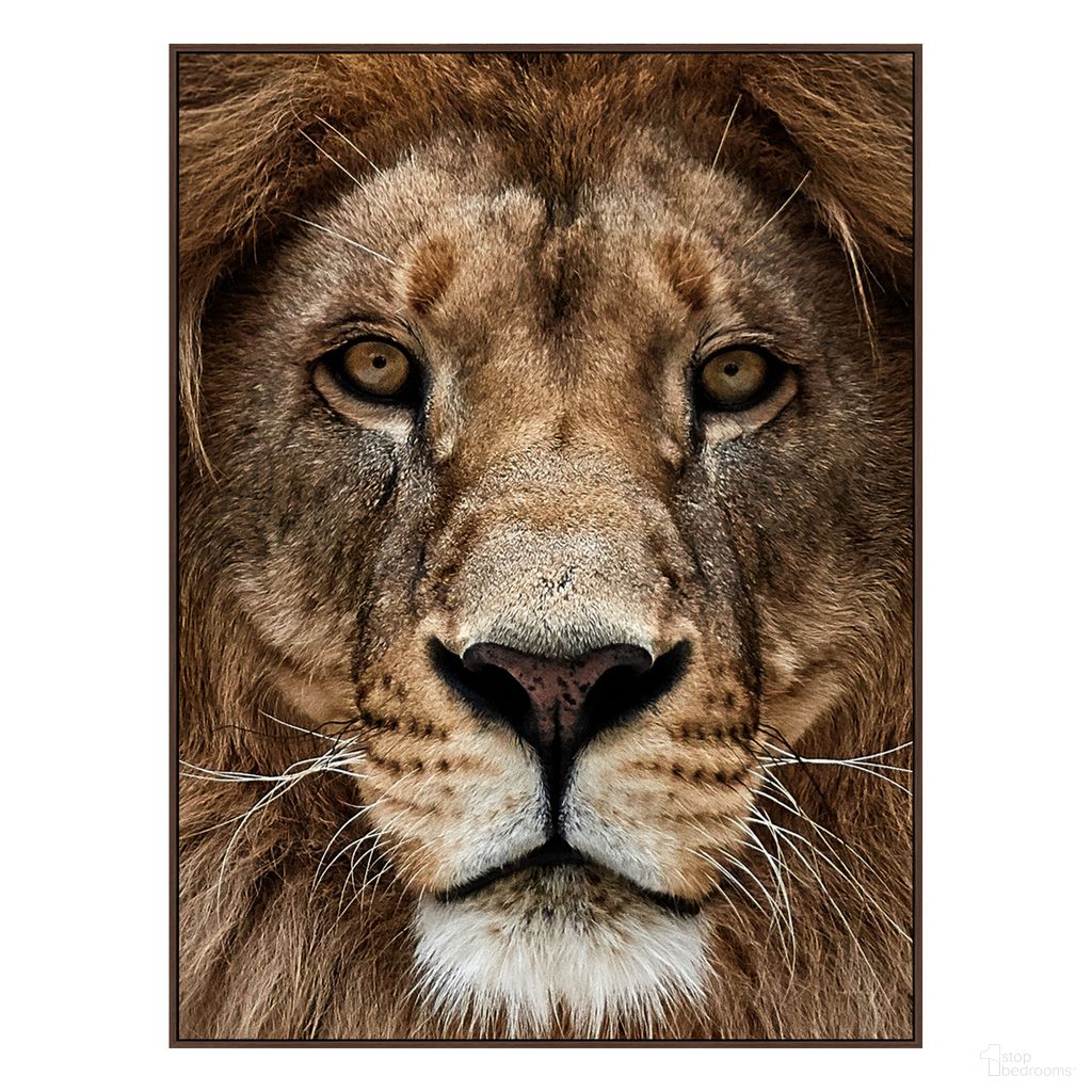 Untamed Lion Zoom Canvas Wall Art In Multi