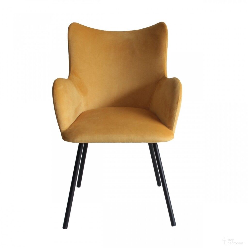 The appearance of Upholstered Velvet Wing Back Dining Arm Chair In Black and Yellow designed by Homeroots in the modern / contemporary interior design. This black/yellow piece of furniture  was selected by 1StopBedrooms from  to add a touch of cosiness and style into your home. Sku: 472238. Material: Velvet. Chair Type: Arm Chair.