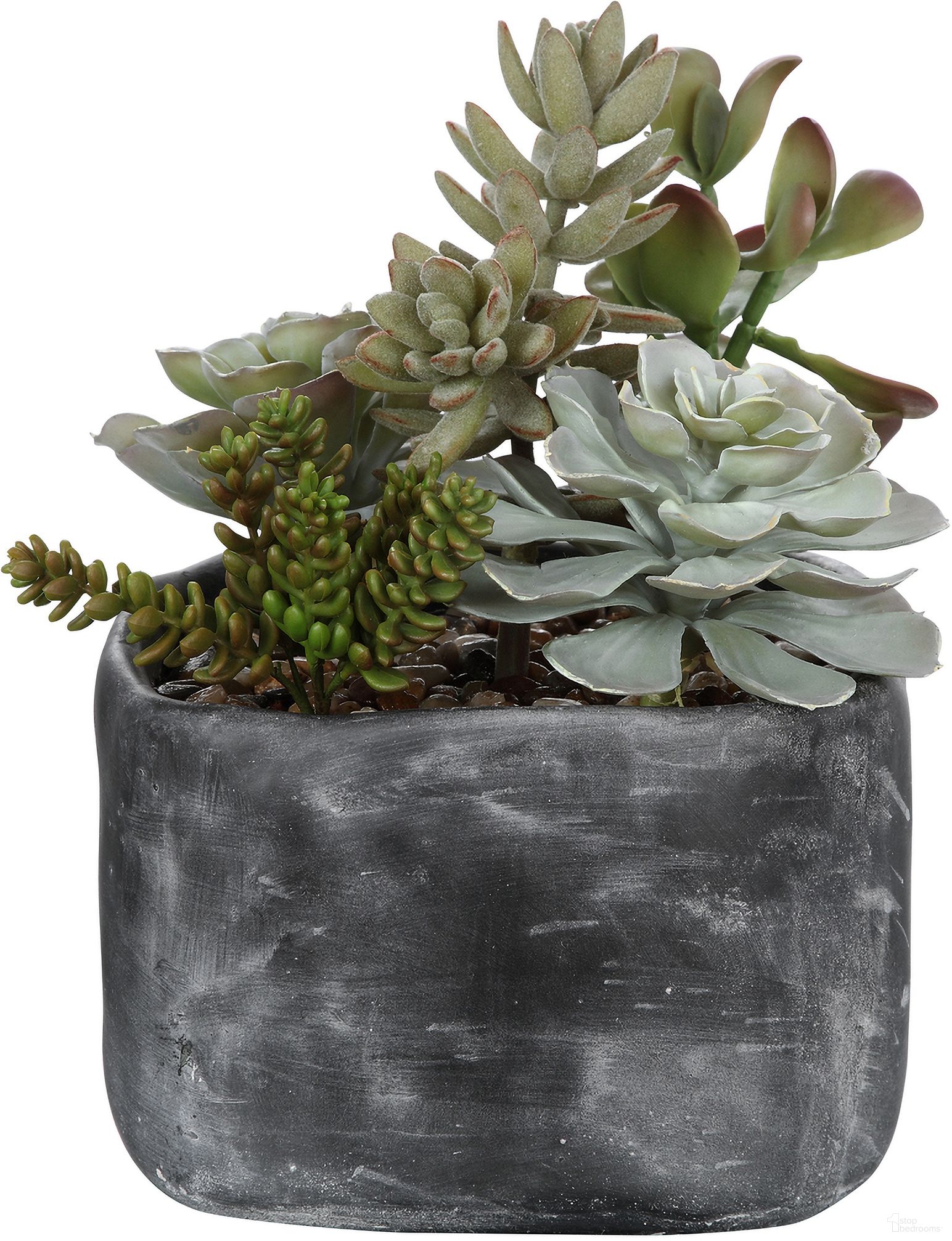 Uttermost Alverio Desert Garden Succulents
