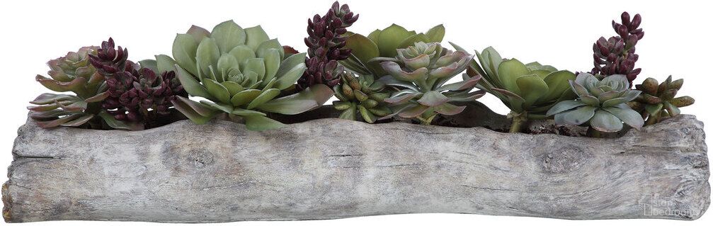 The appearance of Uttermost Charita Lush Succulents designed by Uttermost in the modern / contemporary interior design. This green piece of furniture was selected by 1StopBedrooms from Charita Collection to add a touch of cosiness and style into your home. Sku: 60174. Material: Iron.