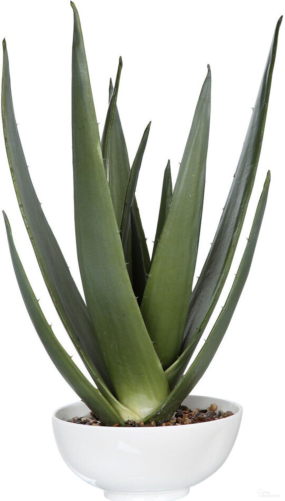 Uttermost Evarado Aloe Planter