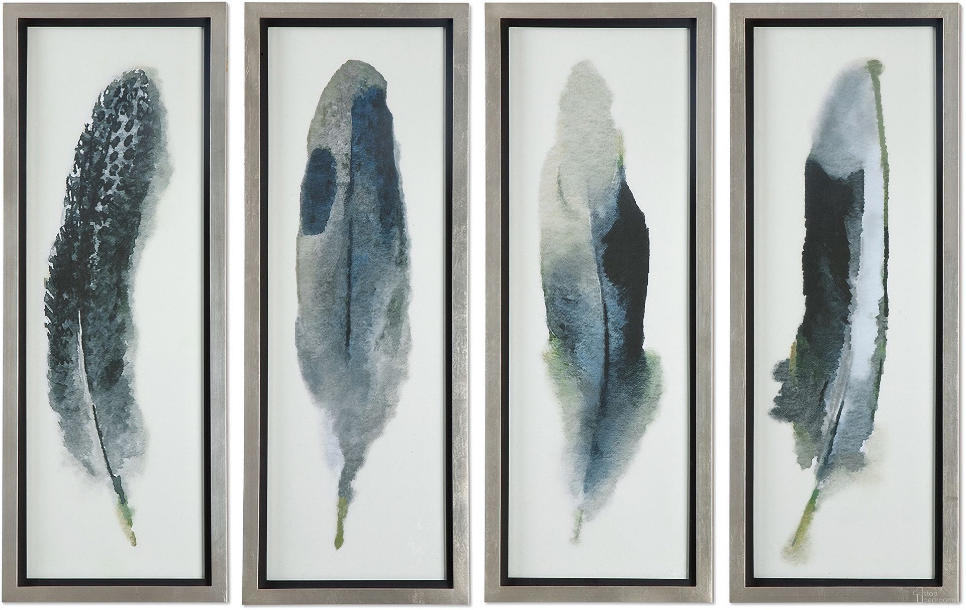 Uttermost Feathered Beauty Prints Set Of 4