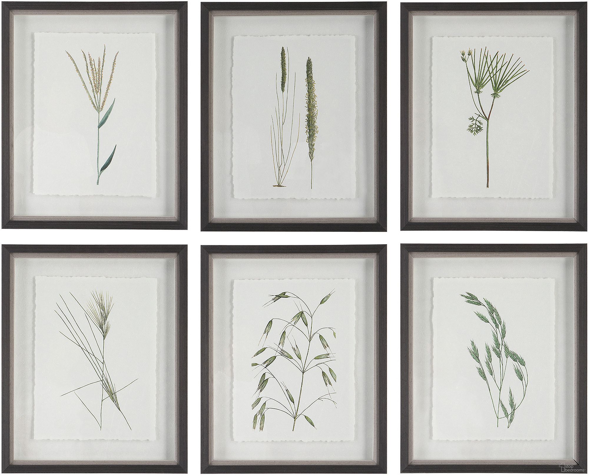 Uttermost Forest Finds Framed Prints Set Of 6
