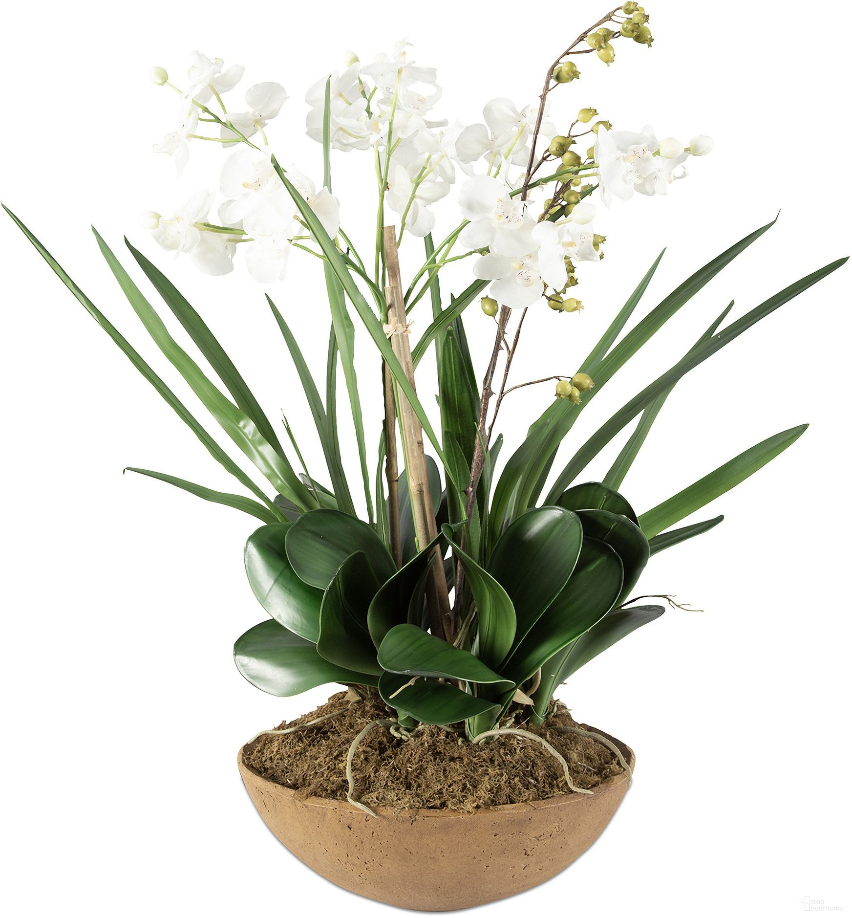 The appearance of Uttermost Moth Orchid Planter designed by Uttermost in the modern / contemporary interior design. This brown piece of furniture was selected by 1StopBedrooms from Moth Orchid Collection to add a touch of cosiness and style into your home. Sku: 60039. Material: Plastic.