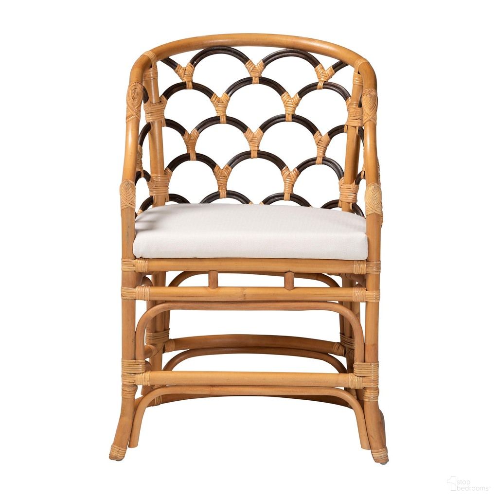 Veneto Natural Rattan Dining Chair with Scalloped Back In Light Honey and Dark Brown