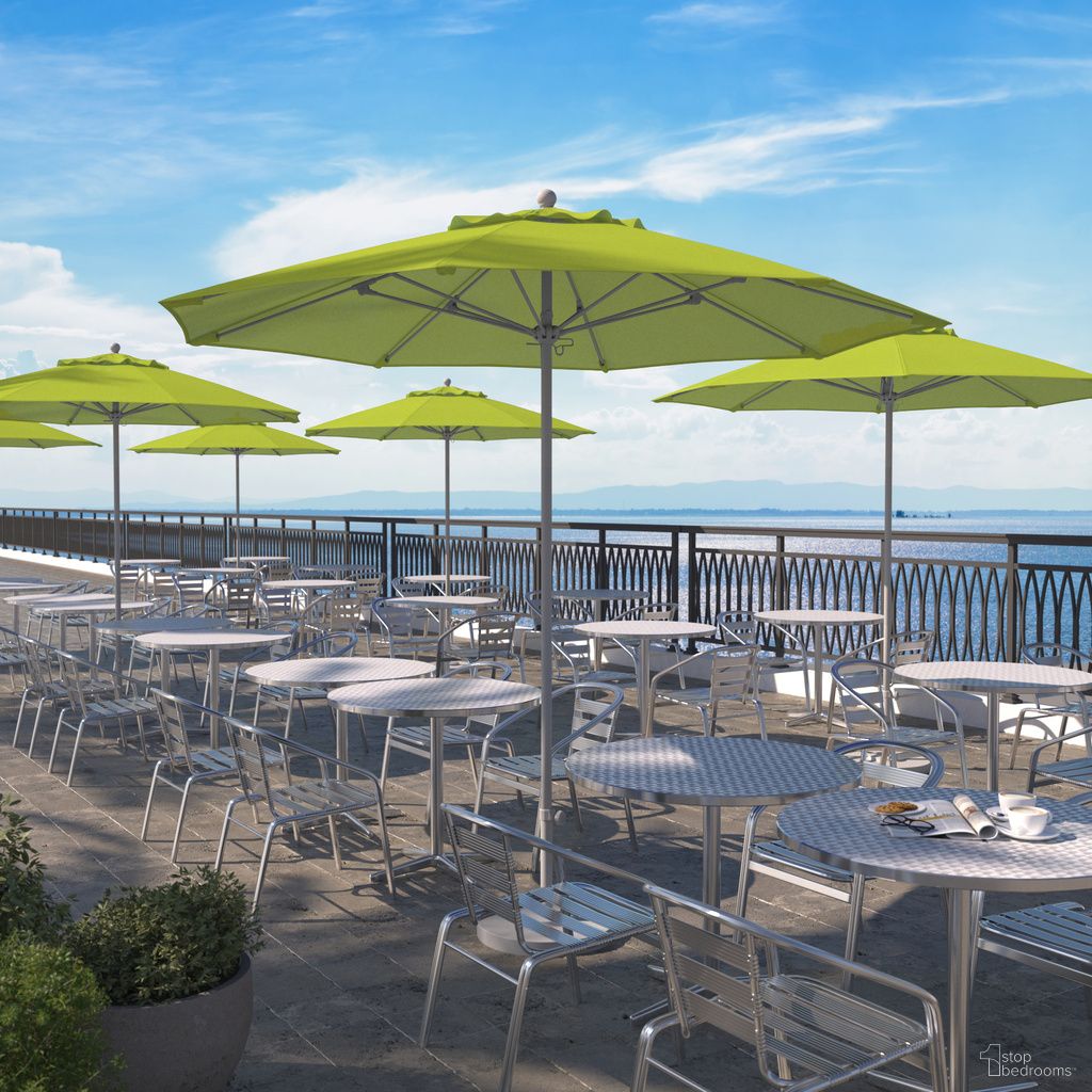 Venture 9' Patio Umbrella with Aluminum Pole Fiberglass Ribs Push Lift with Sunbrella Fabric In Parrot and Matte White