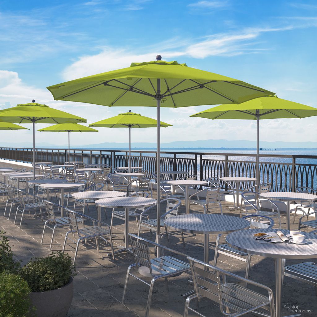 Venture 9' Patio Umbrella with Aluminum Pole Fiberglass Ribs Push Lift with Sunbrella Fabric In Parrot and Silver Anodized