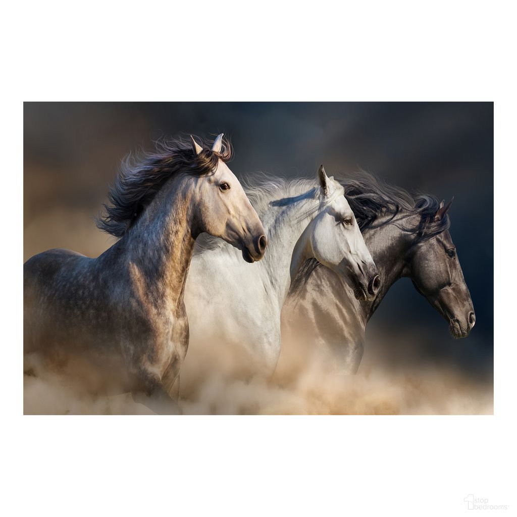 WIId Stallion Trio Frameless Tempered Glass Wall Art In Multi