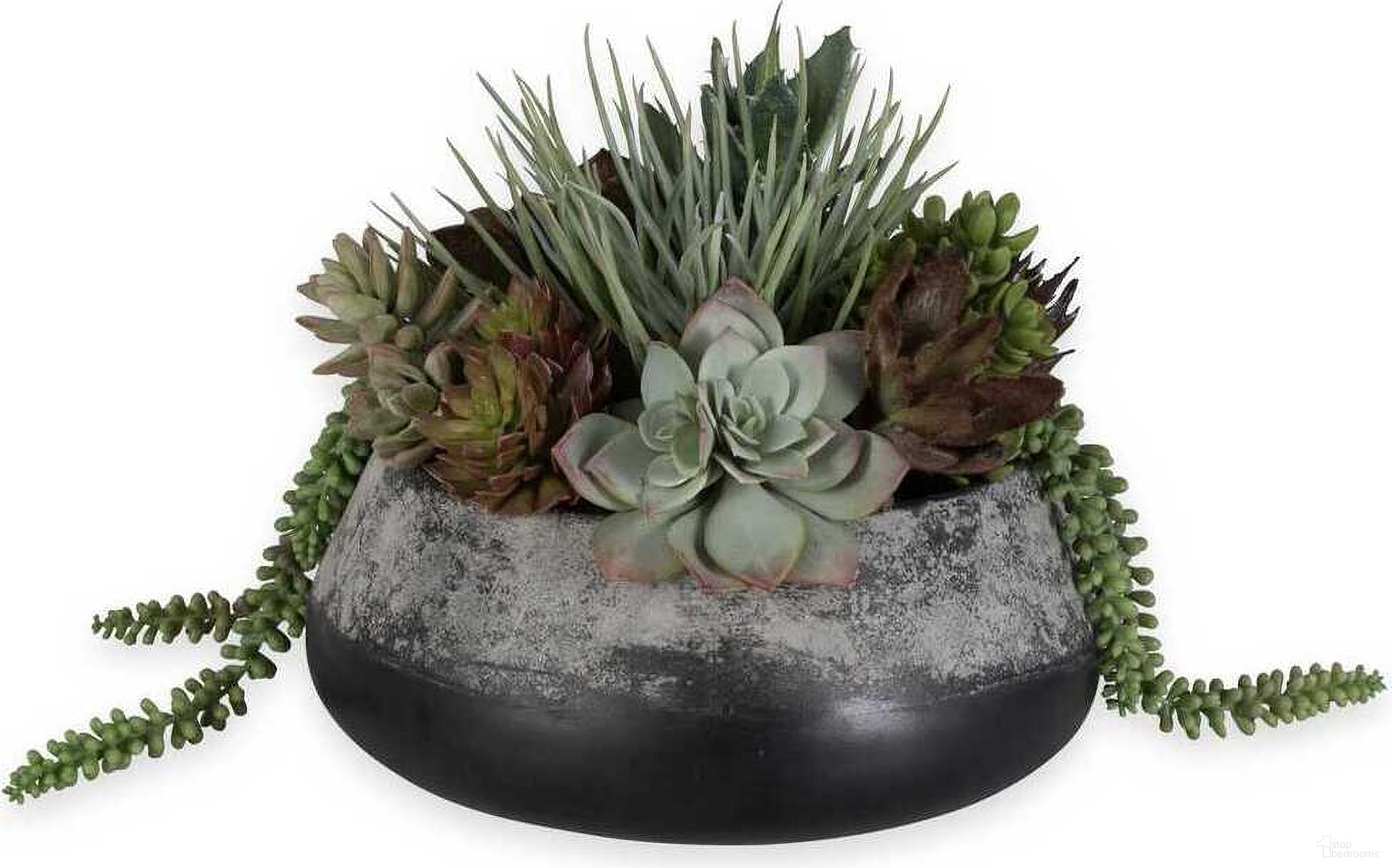 Yuma Succulent Centerpiece In Green
