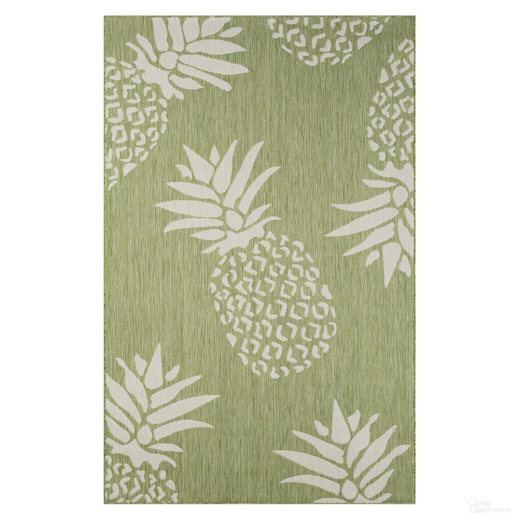 Zelar 1'10" x 3' Cartagena Pineapple Indoor/Outdoor Area Rug In Ivory and Green