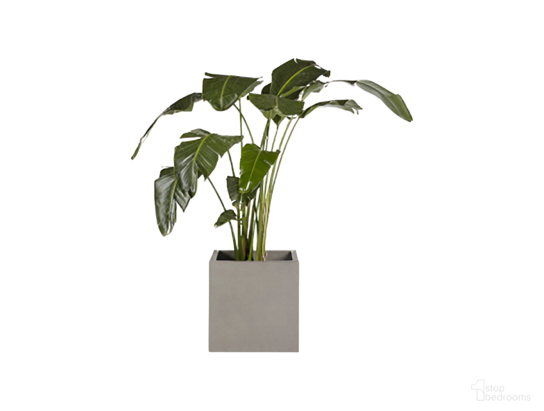 Artificial Plants