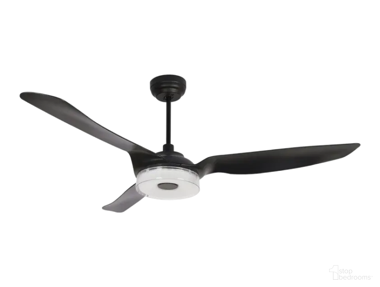 Ceiling Fans