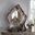 Ragenardus Mirror (Vintage Oak)