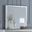 Louis Philippe III Mirror (Platinum)