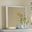 Louis Philippe Mirror (Platinum)