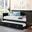 Bailee Black Daybed