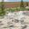 4 LeisureMod Devon White Aluminum Arm Chairs