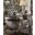 Versailles Silver Antique Platinum Chair