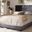 Baxton Studio Candace Luxe And Glamour Dark Grey Velvet Upholstered Full Size Bed