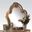 Acme Dresden Mirror