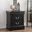 Acme Louis Philippe III 2-Drawer Nightstand in Black