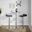 Ale Bistro Round Adjustable Bar Set with Oval Footrest In Silver and Black