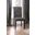 Alfred Side Chair Set of 2 In Antique Black and Gray