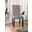Alfred Side Chair Set of 2 In Antique Black and Light Gray