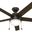 Anslee 52 Inch Ceiling Fan with LED Light Kit and Pull Chain In Premier Bronze and American Walnut