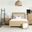 Arini Upholstered Panel Bedroom Set In Sand Wash/Natural Cane