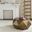 Astrid Brushed Brass Faceted Occasional Table Set