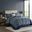 Aubrey 5 Piece Jacquard Queen Bedspread Set with Throw Pillows In Navy