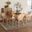 Ballerina Mahogany Wood and Rattan 5 Piece Dining Set In Natural Brown