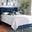 Baxton Studio Caprice Modern And Contemporary Glam Navy Blue Velvet Fabric Upholstered Queen Size Panel Bed