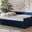 Baxton Studio Raphael Modern And Contemporary Navy Blue Velvet Fabric Upholstered Queen Size Daybed With Trundle