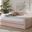 Baxton Studio Raphael Modern And Contemporary Pink Velvet Fabric Upholstered Full Size Daybed With Trundle
