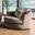 Bonaventura Swivel Chair (Brown)