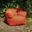 Bosa Accent Chair In Bright Orange
