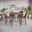 Brennan Five Piece Round Modern Solid Wood Counter Height Dining Set With Upholstered Barstools In Light Brown