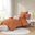 Brooklyn Cotton Jacquard 5 Piece Twin/Twin XL Comforter Set with Euro Shams and Throw Pillows In Rust