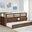 Carlsbad Wood Twin Captains Bed with Trundle In Medium Brown