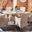 Challe Dining Set in Beige