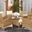 Challe Dining Set in White