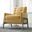 Cole Yellow Velvet Lounge Chair
