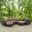 Convene Espresso Mocha 6 Piece Outdoor Patio Sectional Set EEI-2207-EXP-MOC-SET