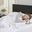Cotton Twin Blanket With 1 Inch Self Hem In White