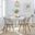 Dakota-Winston Dining Set In Antique Copper and White