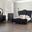 Eleanora Bedroom Set In Black