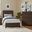 Fundamentals Youth Bedroom Set In Java