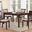 Gia 5 Piece 60 Inch Dining Table and 4 Chairs In Cherry